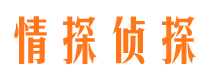 金凤侦探社